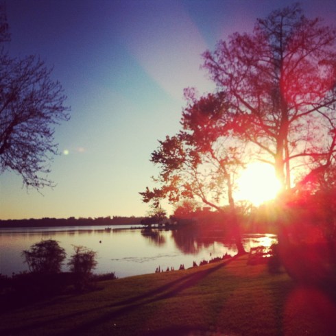 This warrants a short walk break for observation.