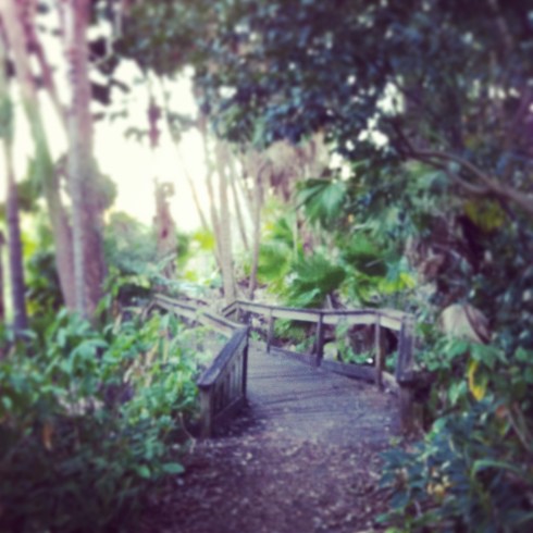 On Sue's Nature Hike